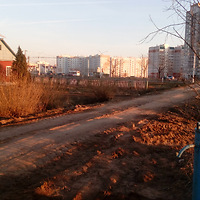 26 марта 2020 года.Выселенные жилые дома между Московским проспектом и кабельным заводом. Фото Сергея Мартиновича