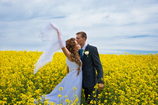 Невеста года 2012 (3-е место) по версии салона «Мечта невесты» (Витебск)