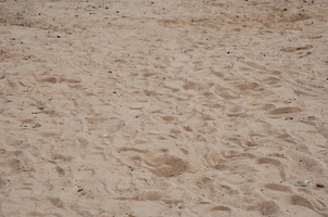 Песок на пляже в Мазурино (г. Витебск)