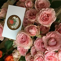 Доставка цветов в Витебске dom-roz.by