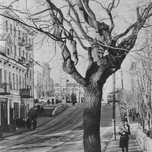 Улица Гоголевская, 1965 год. Уклон от площади Свободы. Фото: «Витебская энциклопедия»