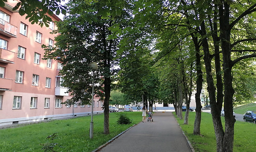 Аллея на месте бывшего парка на Марковщине. Фото Сергея Мартиновича