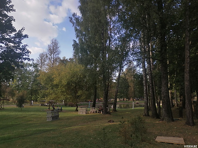 Аллеи парка железнодорожников. Фото Сергея Мартиновича