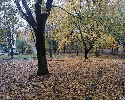 Осенний Витебск. Фото Сергея Мартиновича