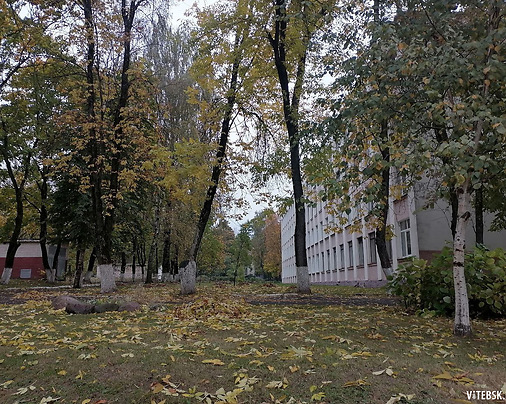 Осенний Витебск. Фото Сергея Мартиновича