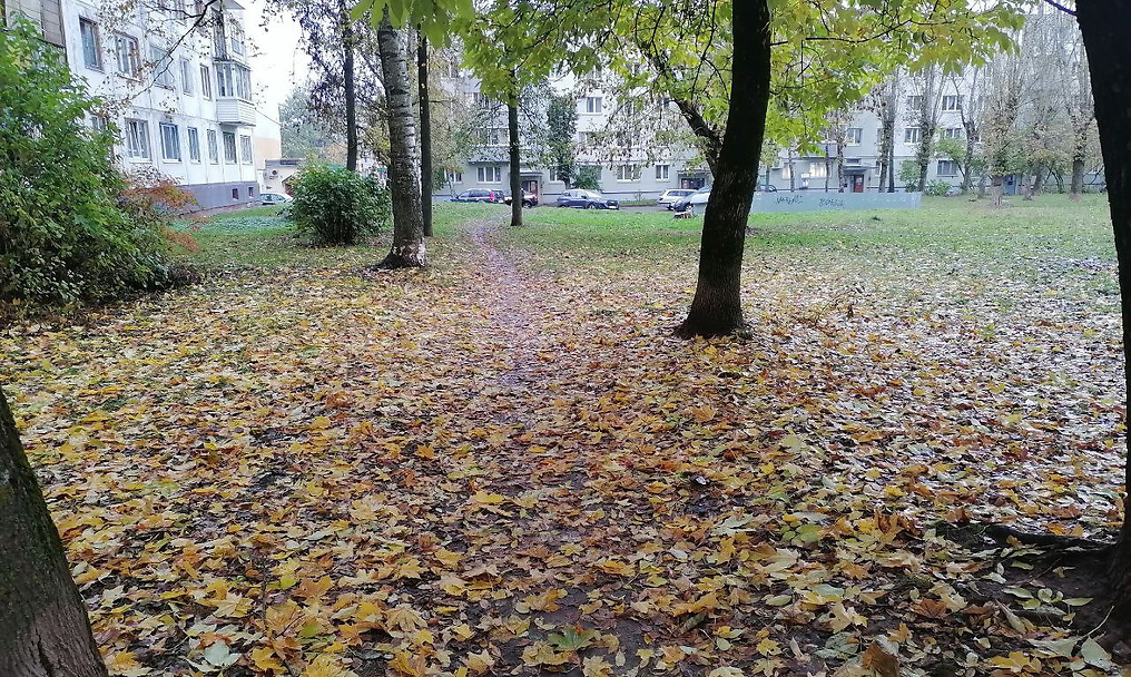 Осенний Витебск. Фото Сергея Мартиновича